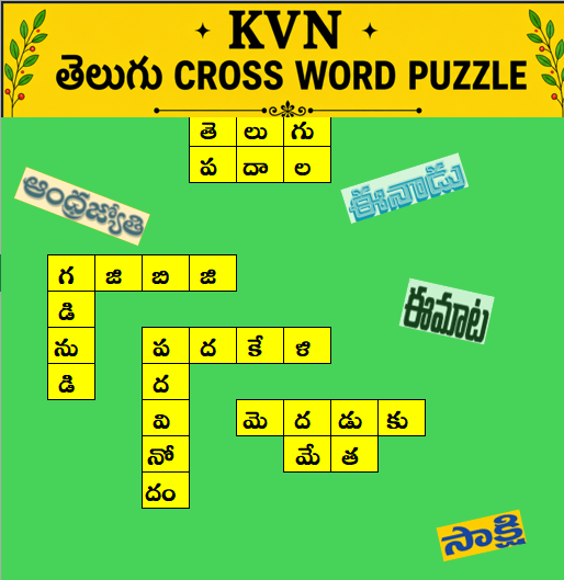 KVN splash screen